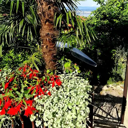Appartement Sea Garden *