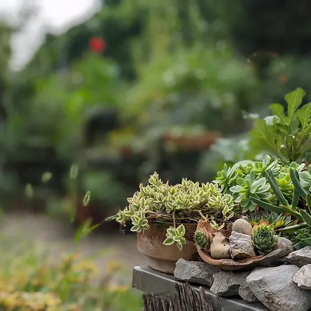 Apartment Sea Garden Διαμέρισμα *