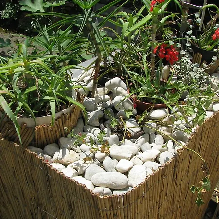 Sea Garden Appartement