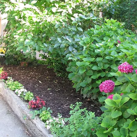 Διαμέρισμα Apartment Sea Garden