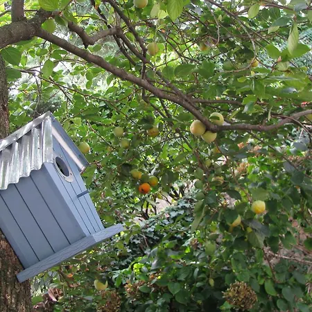 Apartment Sea Garden * Ičići